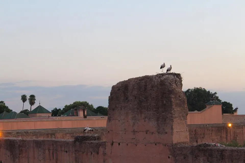 Young And Happy Marrakech Hostel Marrakesh