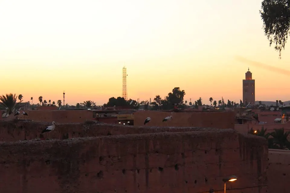 Young And Happy Marrakech Hostel Marrakesh